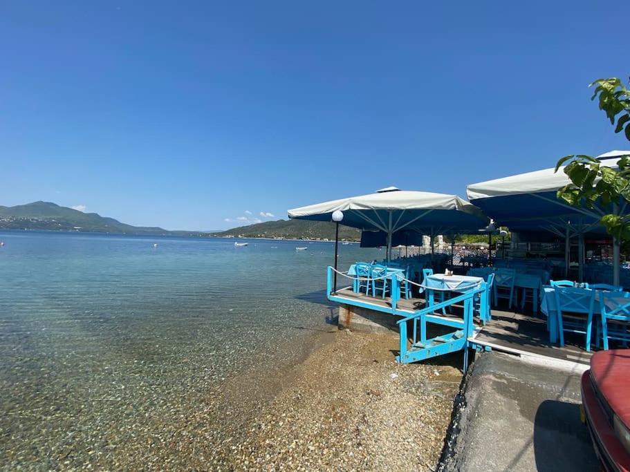 Villa Oleander Agios Nikolaos Loutra Edipsou Exteriér fotografie